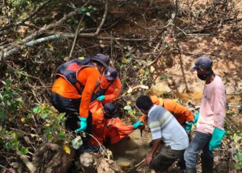 Petani Sawit di Bengkalis yang Hilang Ditemukan Meninggal Dunia Setelah 6 Hari Pencarian Intensif